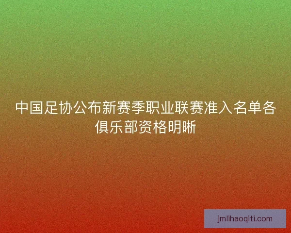 中国足协公布新赛季职业联赛准入名单各俱乐部资格明晰