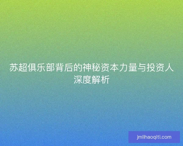 苏超俱乐部背后的神秘资本力量与投资人深度解析