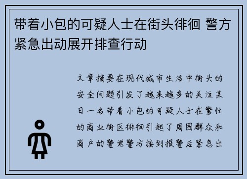 带着小包的可疑人士在街头徘徊 警方紧急出动展开排查行动